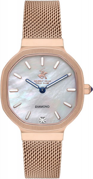 BP3621X.420