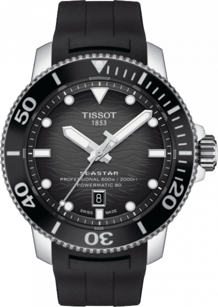 T1206071744100